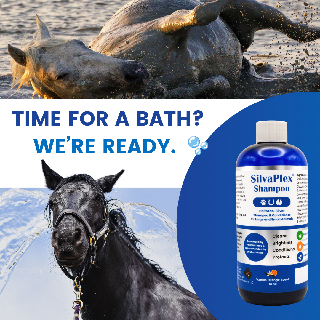 SilvaPlex® Ag21 Silver Pet Shampoo