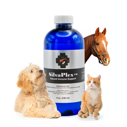 SilvaPlex® 100 PPM Chelated Silver - Natural Immune Support